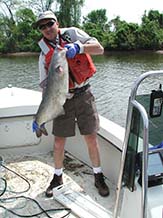 Mike Mangold with blue catfish at Dyke Marsh, Virginia.