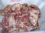 Meat for head cheese
